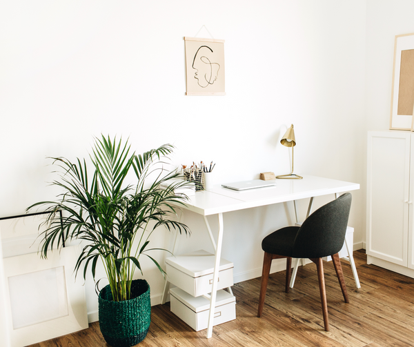 How to Make Your Home Office More Cozy
